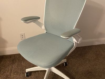 Ergonomic Office/Gaming Chair