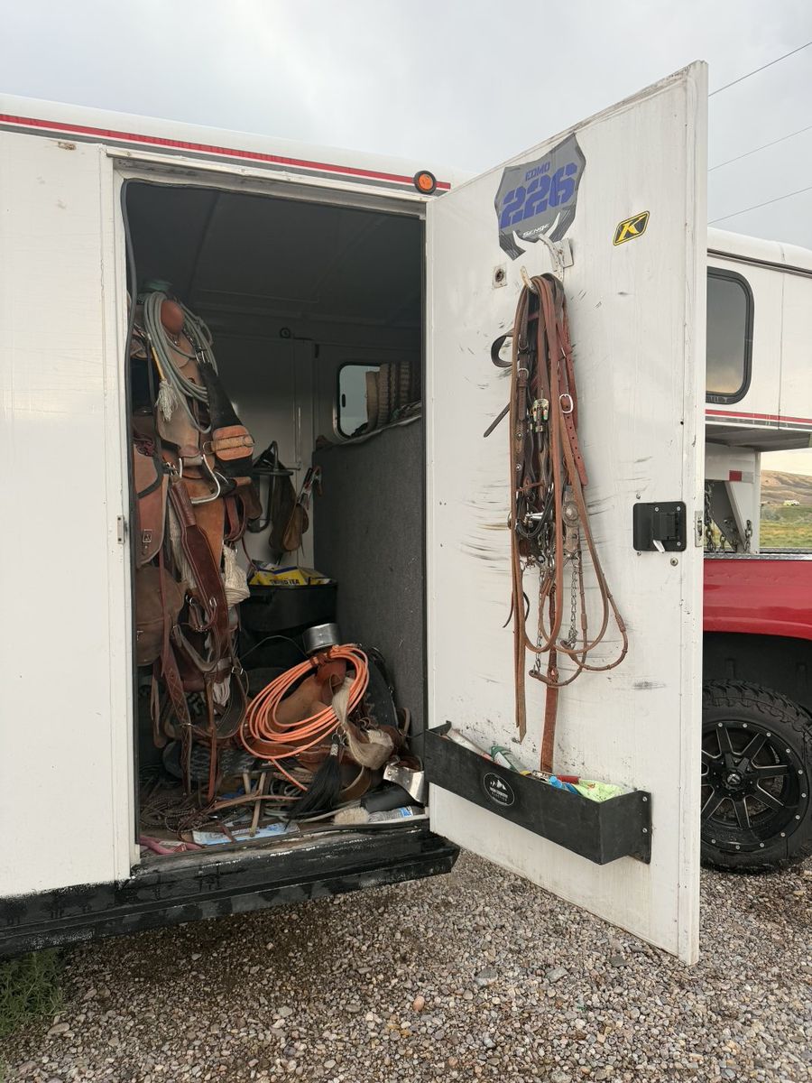 Main image 8