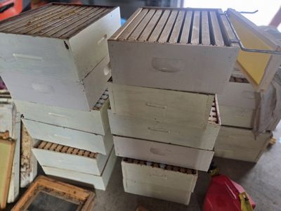 The Walter T. Kelley Co. Honey Extractor & Beehive Boxes - Beekeeper Starter Kit