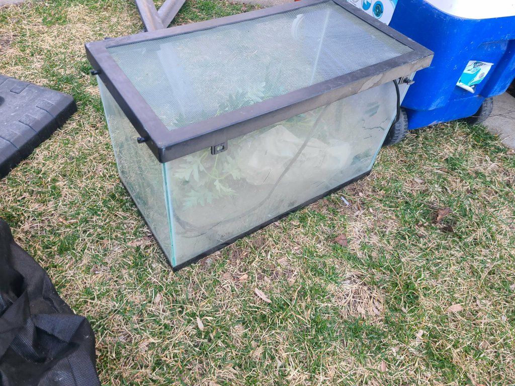 critter tank with anti escape lid
