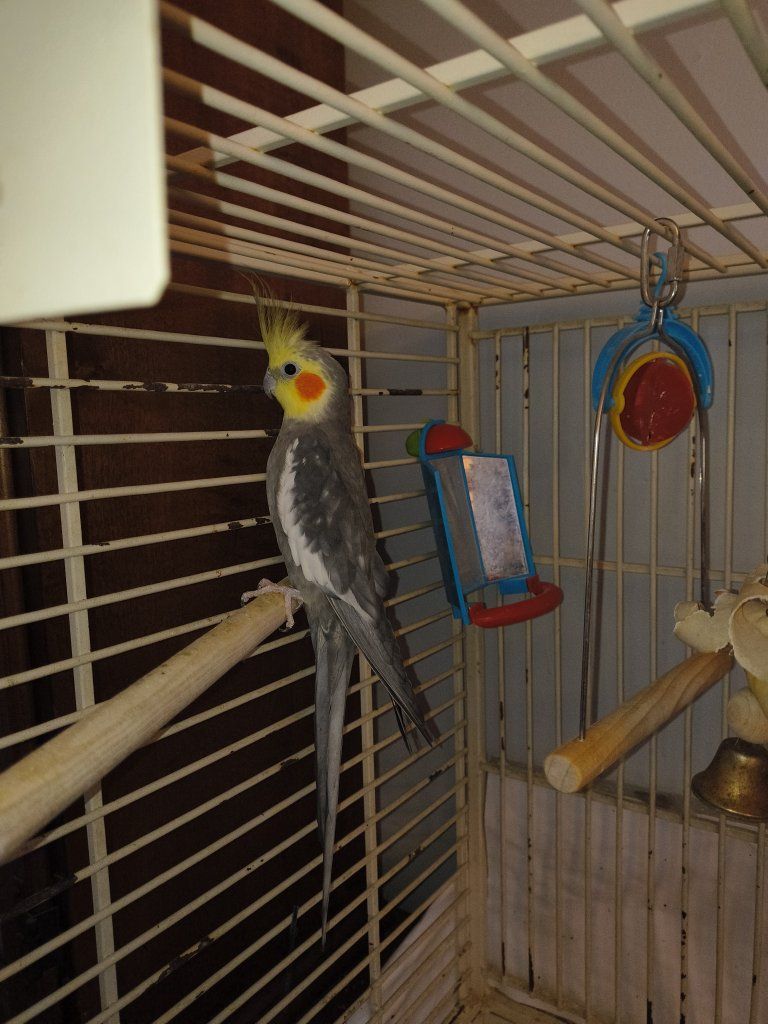 Main image 3