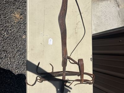 Horse tack