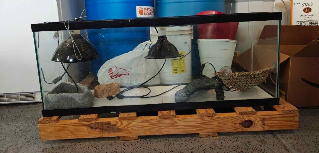 Reptile cage, include heat lamps, light, large food and water, net and logs. Everything pictured.