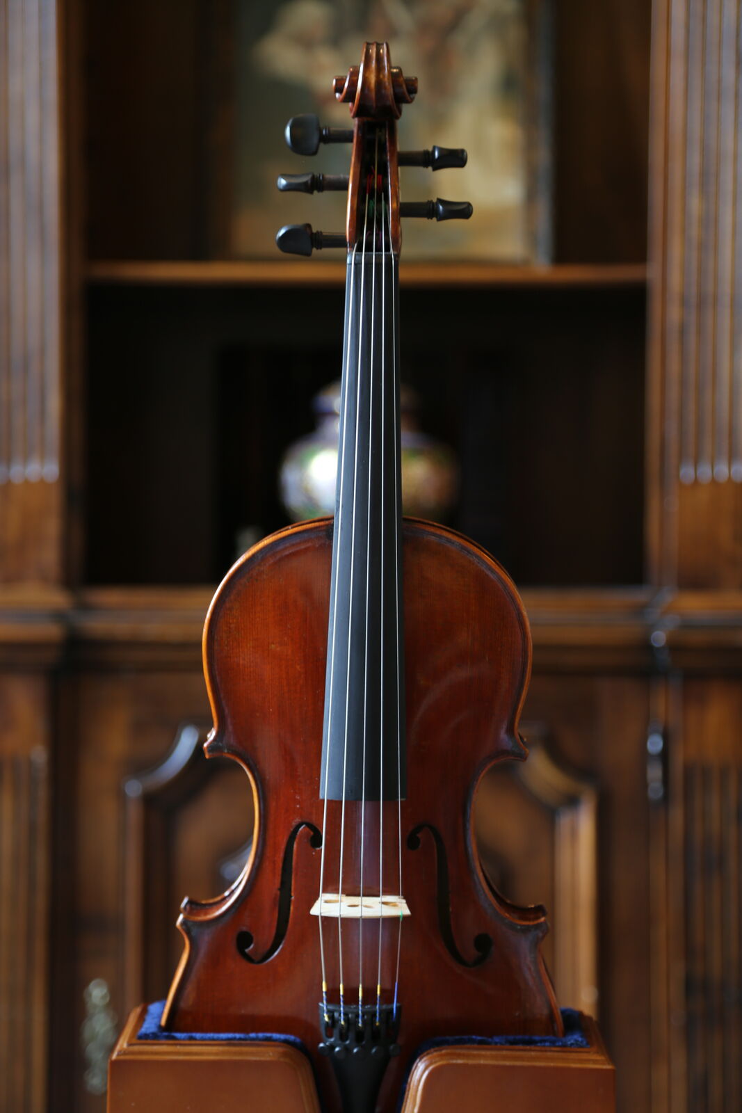 Rudoulf Doetsch 5-String Series+ VL7015+