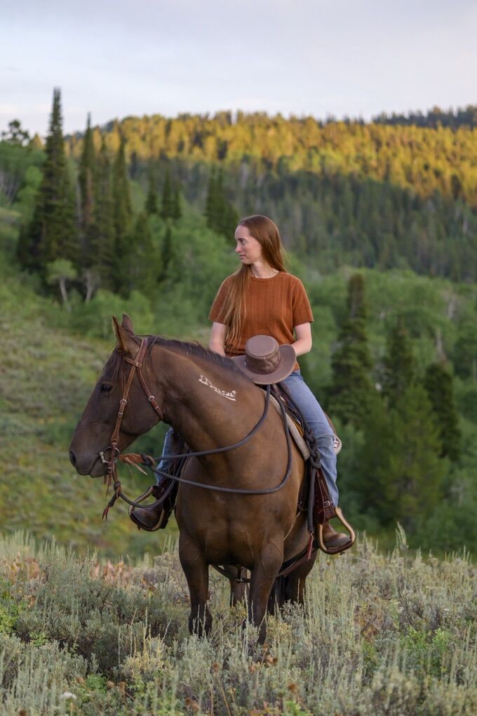 10 Yr Old Mustang Mare, Ranch Horse