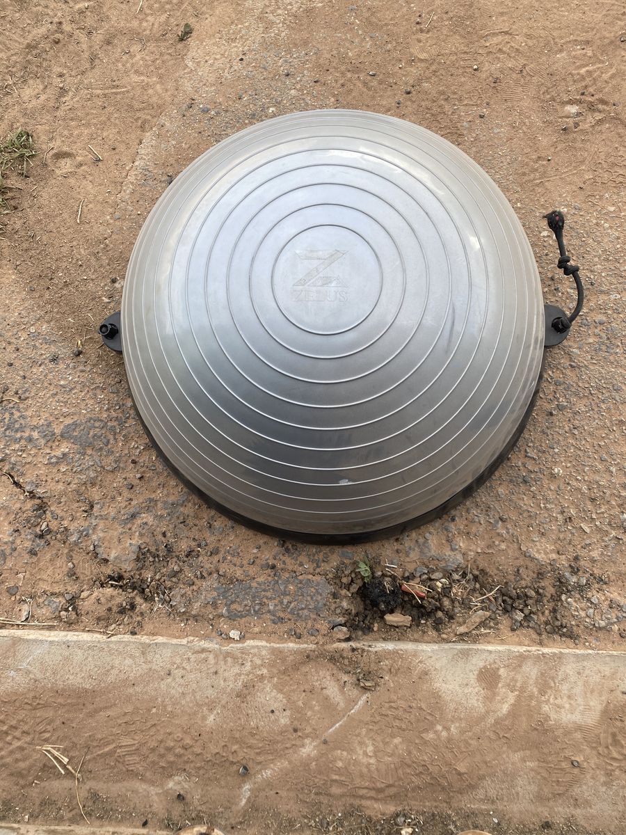 Zelus Brand Ballance Ball