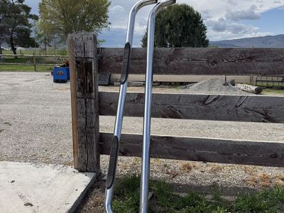 Steps For 3rd Gen Mega Cab