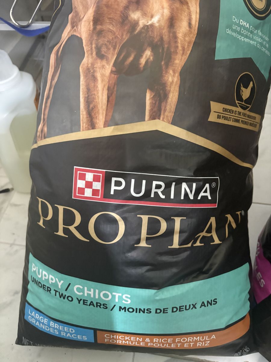 Dog Food (Puppy large breed) 34lb chicken and rice bag