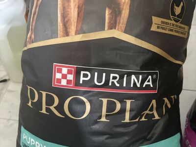 Dog Food (Puppy large breed) 34lb chicken and rice bag