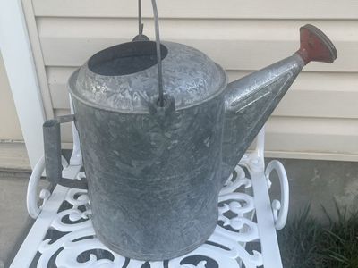 Darling Vintage Galvanized Watering Can