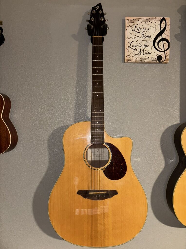 Breedlove Passport Plus