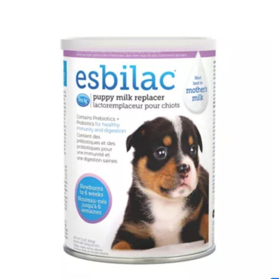puppy milk replacement