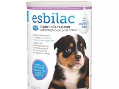 puppy milk replacement