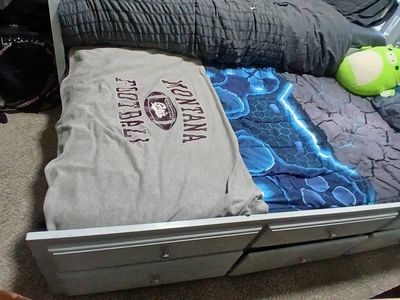 Gray Daybed with Trundle and Storage Drawers - Twin Size Bed Frames in SLC.