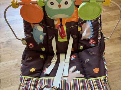 Baby bounce chair