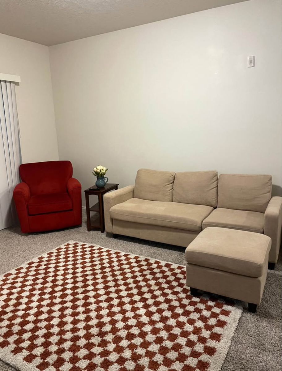 Checkered Rug