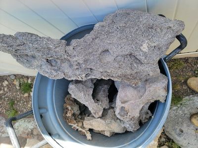 lace rock