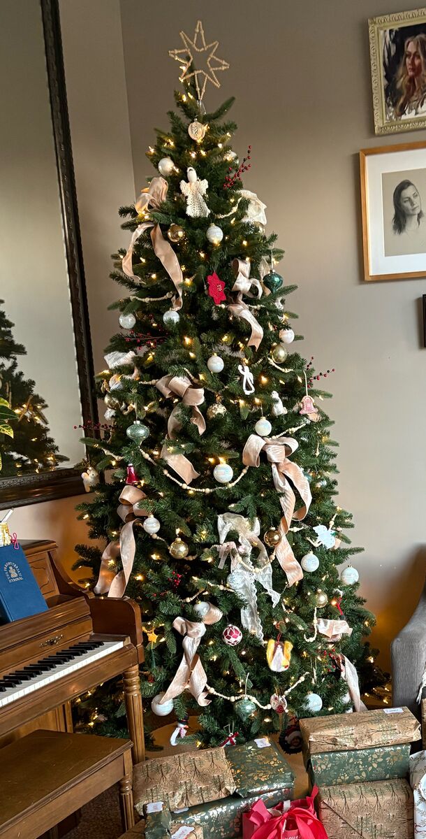 9 ft LED tree with real feel branches