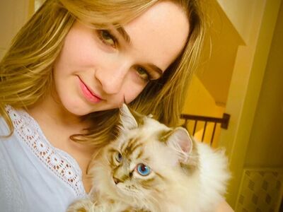 2 Gorgeous Ragdoll kittens (STAY TINY)--SUPER AFFECTIONATE TEMPERMENTS-- FLUFFY/FLOPPY, shed less/less allergenic!
