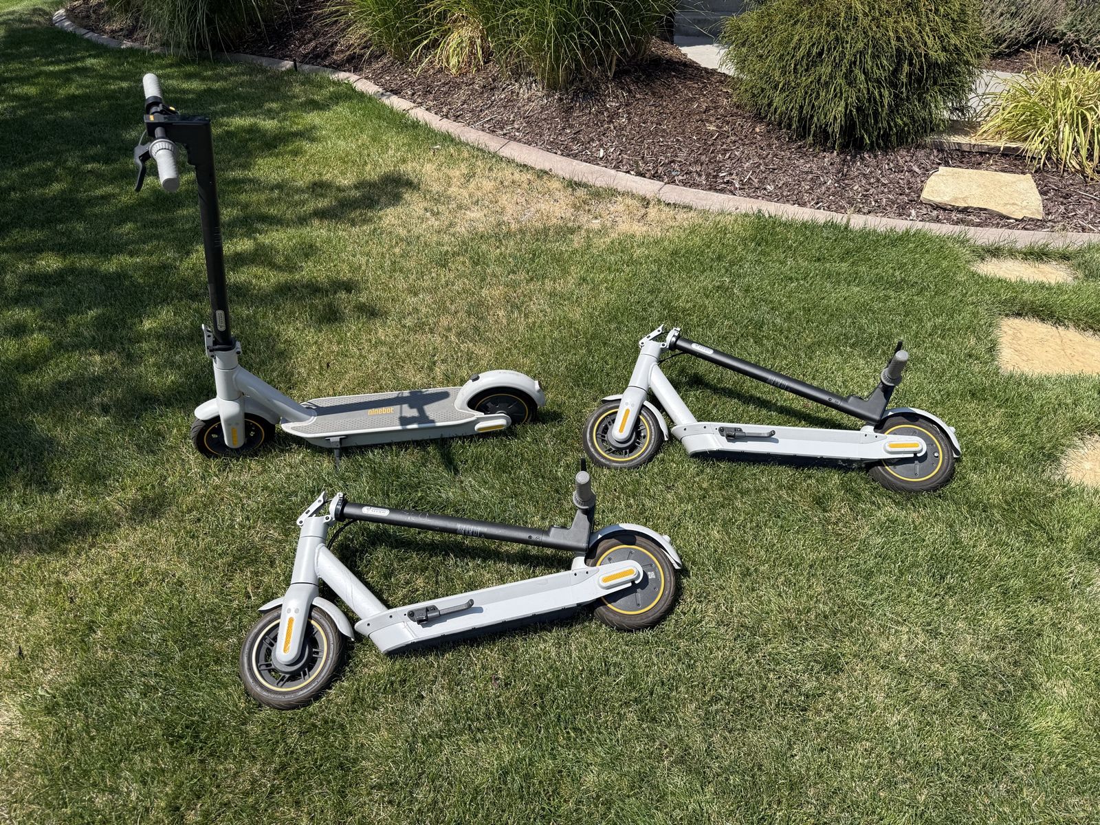 Segway Ninebot Electric KickScooters - Light Gray/Black
