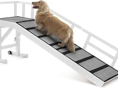 Kuveto Dog Ramp - 60" Long, 20" High