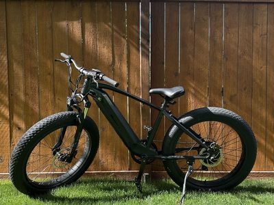 Velowave 750W E-Bike