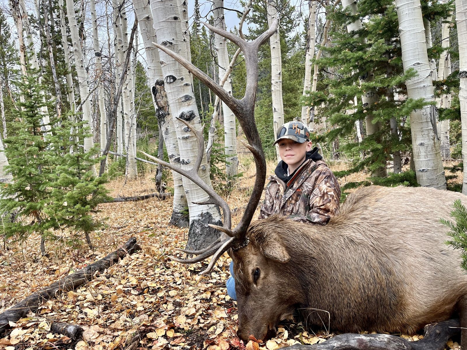 Archery elk hunt private land
