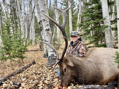Archery elk hunt private land