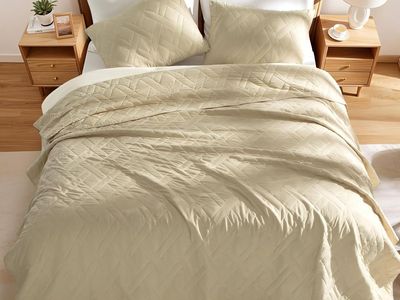 NEW Quilt Set All Seasons (Beige,Queen) 1 comforter, 2 pillow