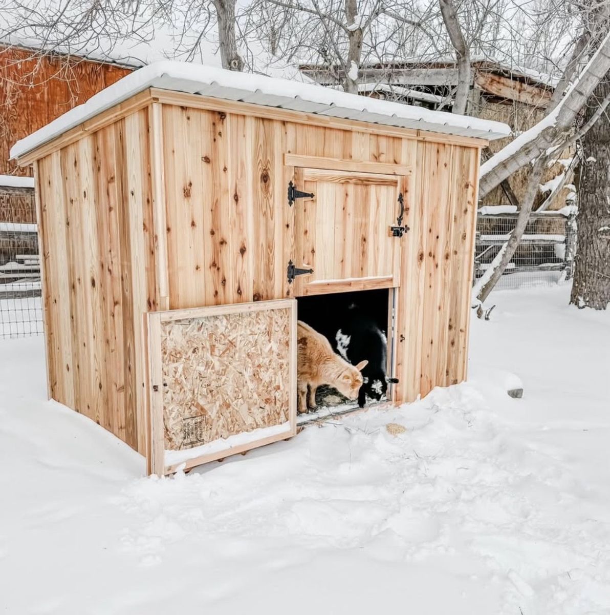 New Solid Wood Goat House/Shed with Metal Roof and Windows