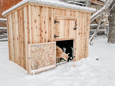 New Solid Wood Goat House/Shed with Metal Roof and Windows