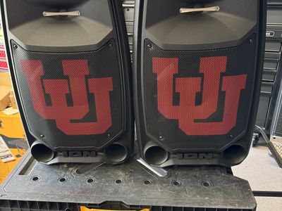 Ion Bluetooth speakers 650 watts each