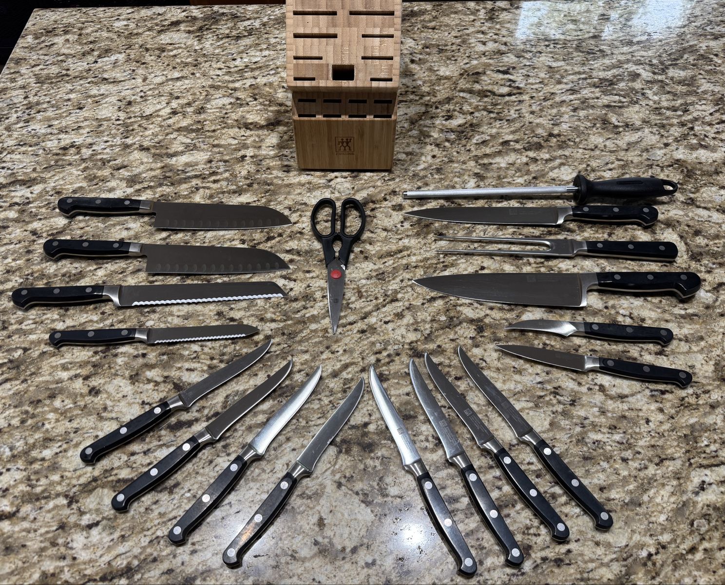 ZWILLING Professional S 20 Piece Knife Set