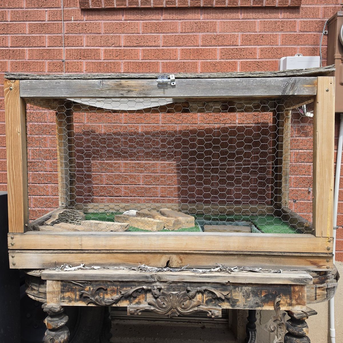 Outdoor Reptile Enclosure