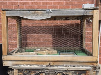 Outdoor Reptile Enclosure