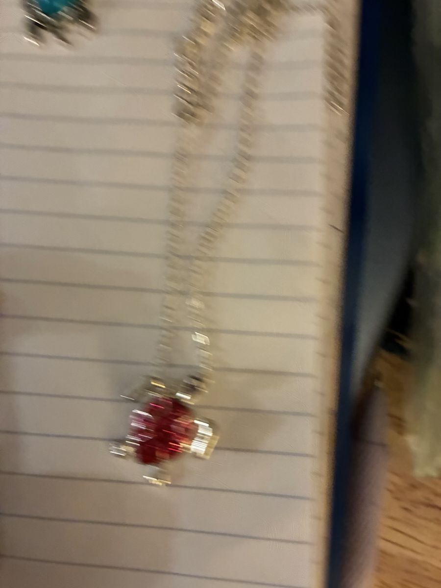 Silver-Tone Necklace with Red Turtle Pendant