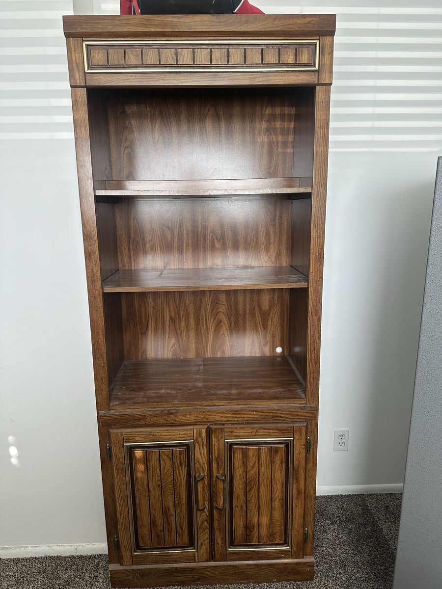 Brown Cabinet with Light!