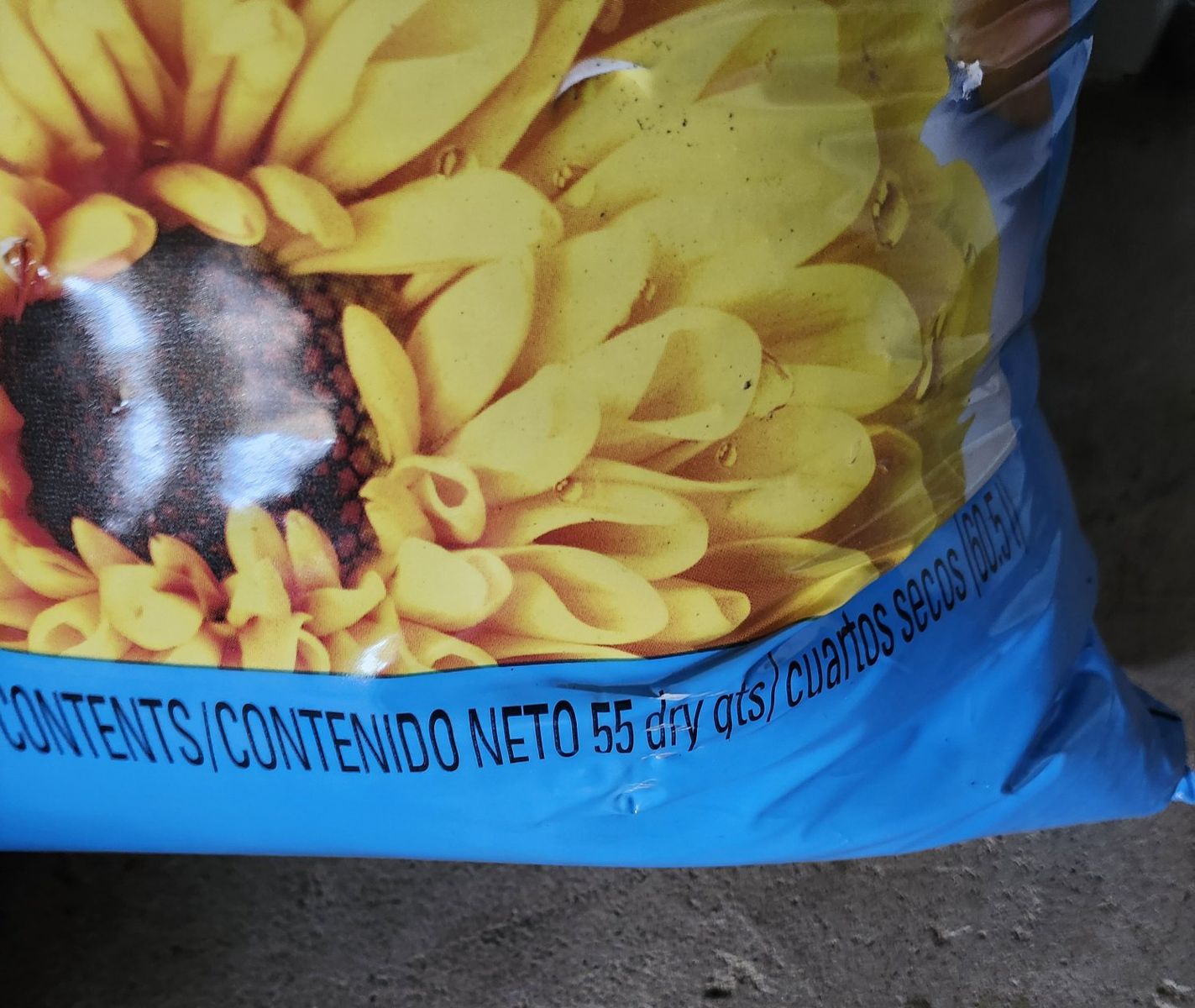 Main image 2