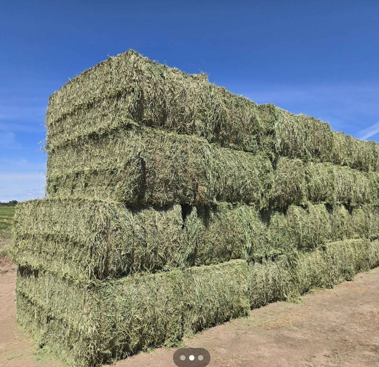 Alfalfa Hay