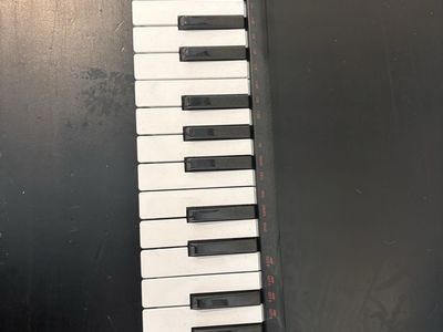 Akai Professional LPK25 Laptop Performance MIDI Keyboard Controller