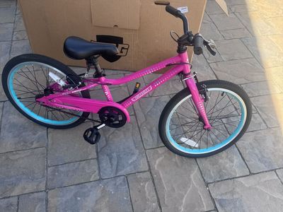 New Guardian 16 In. Bike