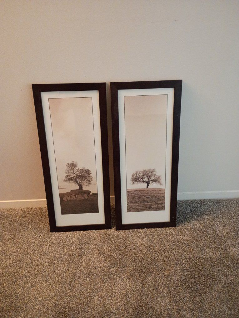 pictures