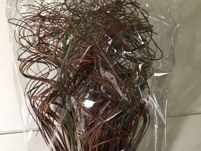 Curly Ting Ting Branches 2 Ft Tall Fall Colors by Tuscan Collection or Fall Bushes Faux Floral Picks, New