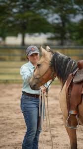 ISO a cheep project horse or pony