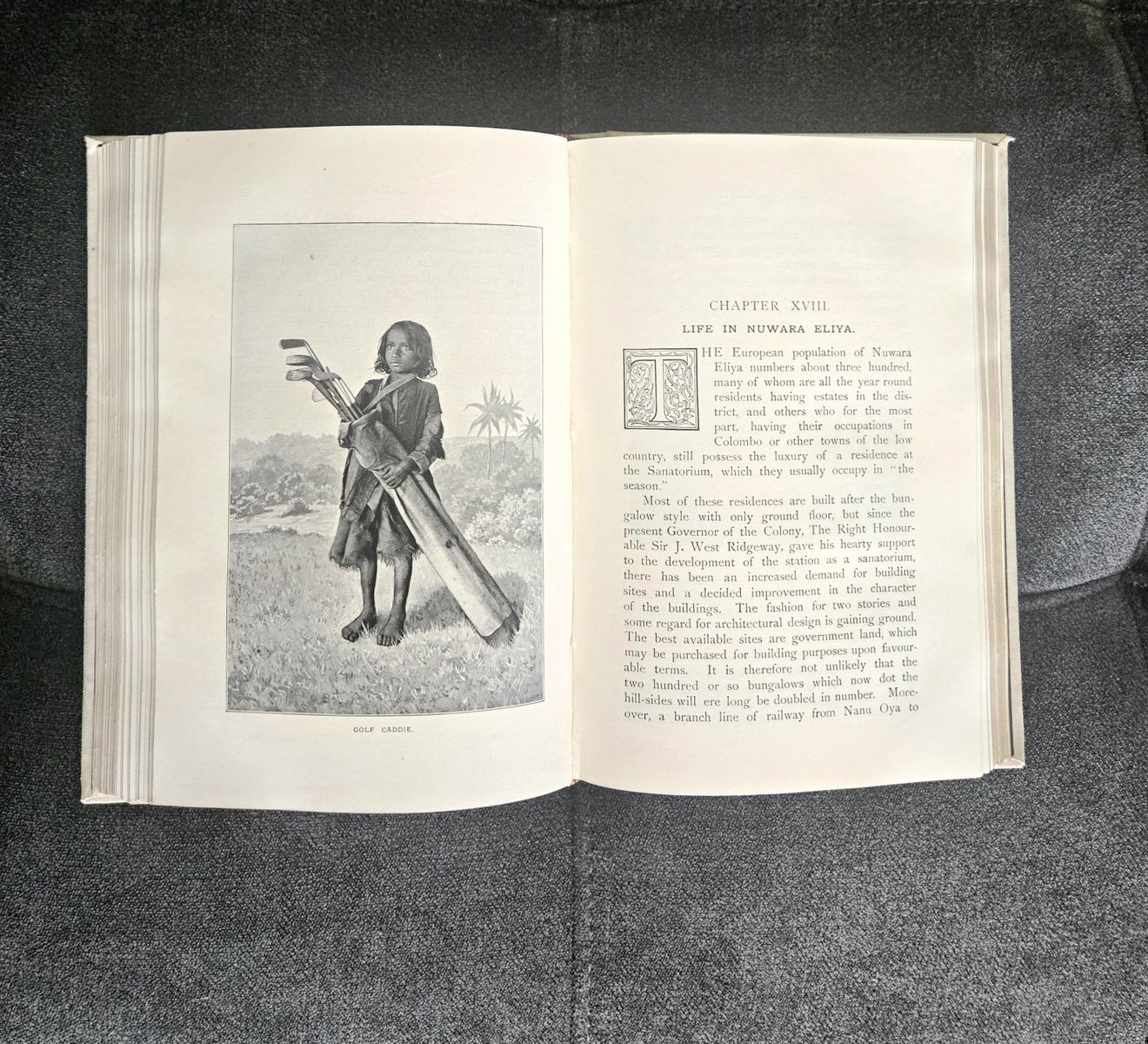 Main image 3