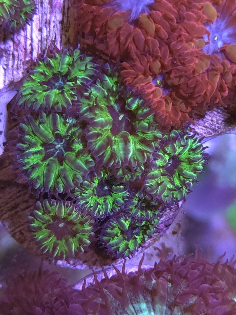 Main image 4
