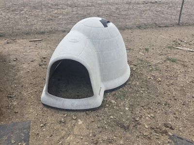 igloo dog house