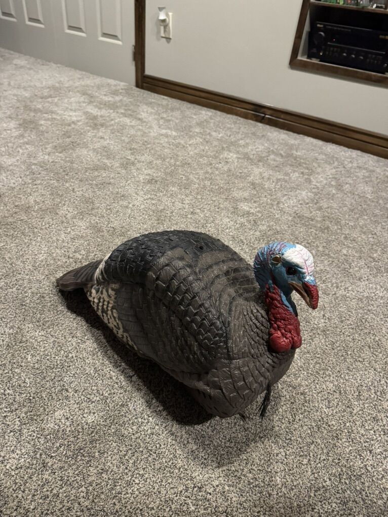H.S. Strut Lite Jake Turkey Decoy
