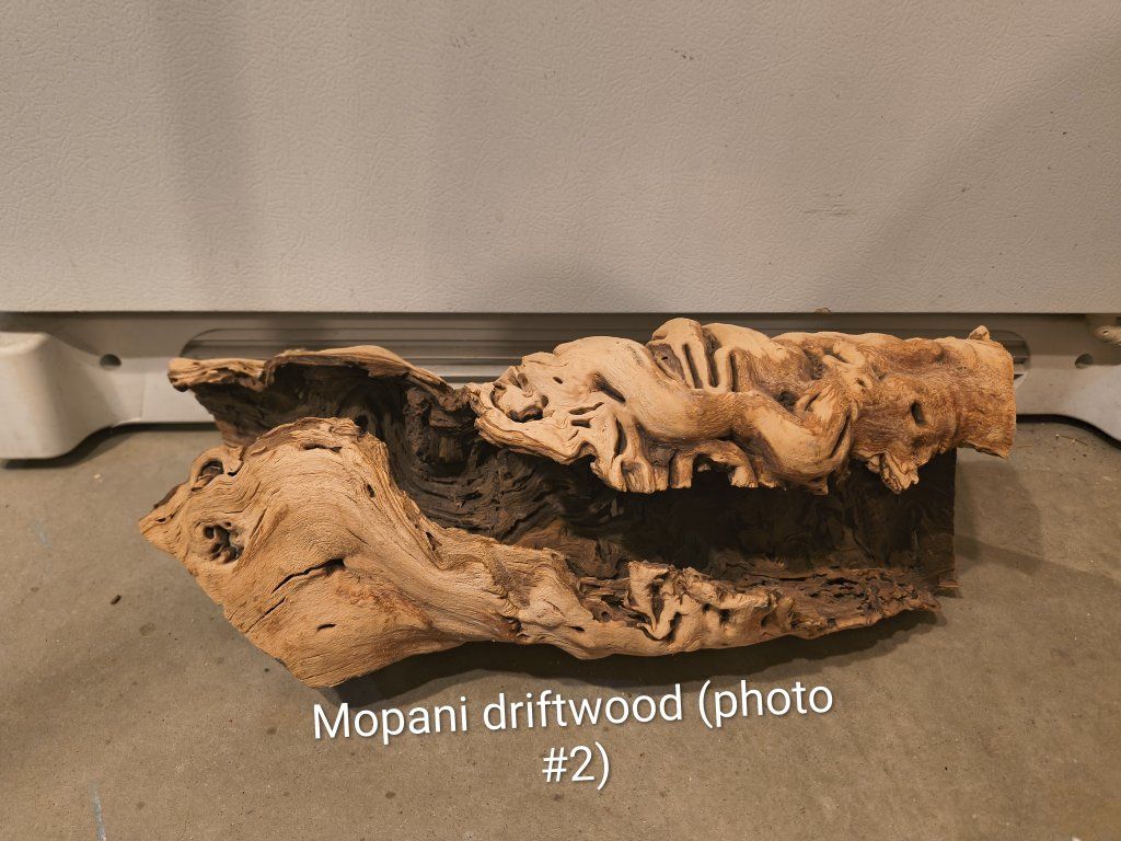 Main image 7
