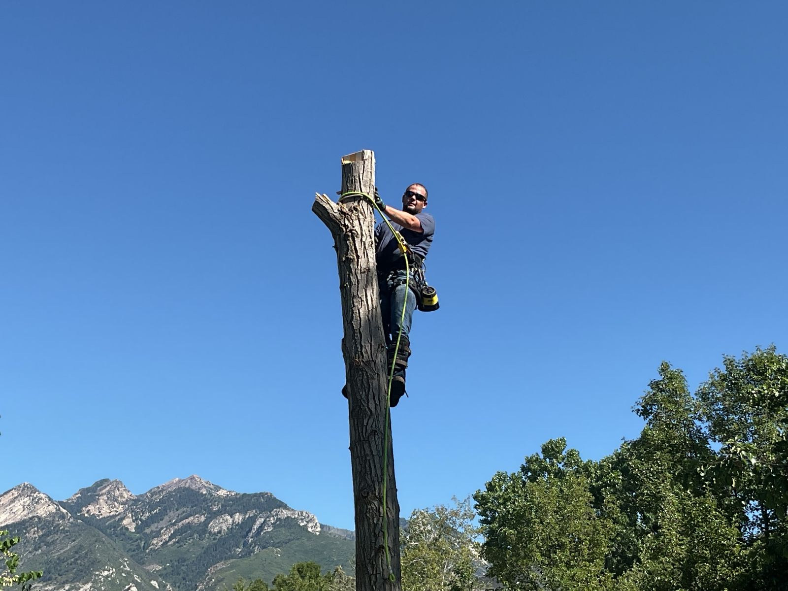 Trade tree work for dirt bike